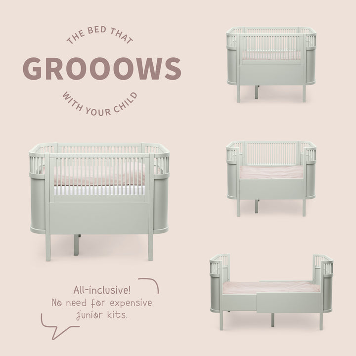 Sebra song, Baby og Junior, Mist Green