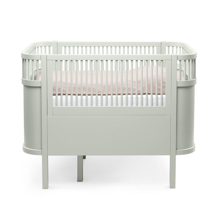 Sebra song, Baby og Junior, Mist Green