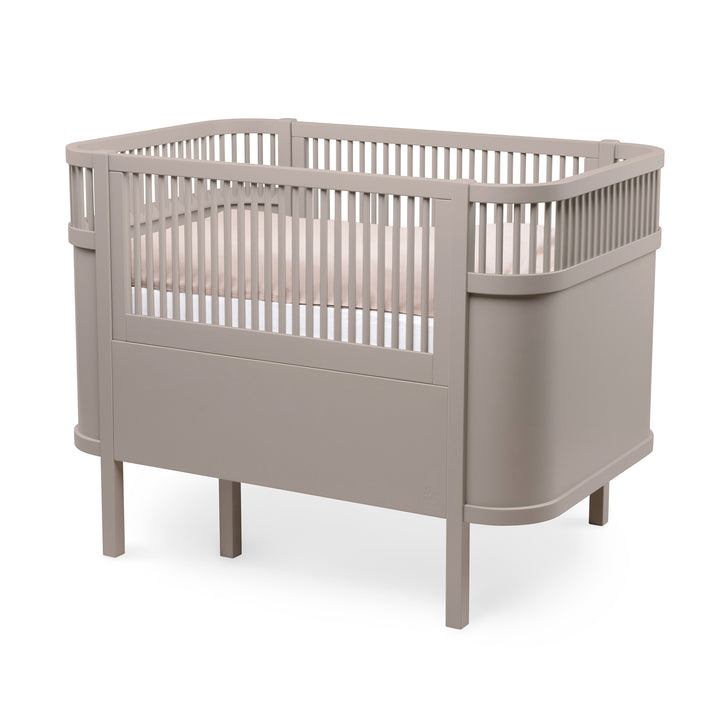 Sebra song, Baby og Junior, Jetty Beige