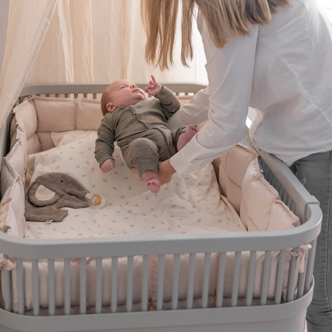 Sebra song, Baby og Junior, Stone