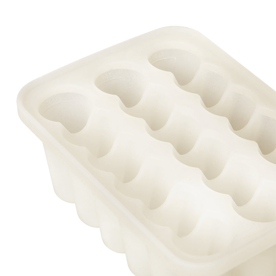 Food Freezer Tray
