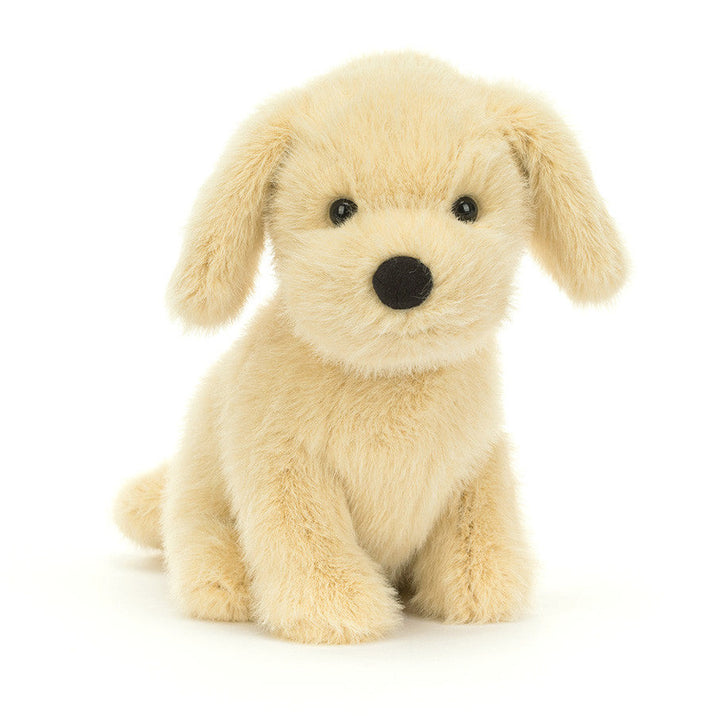 Golden Puppy