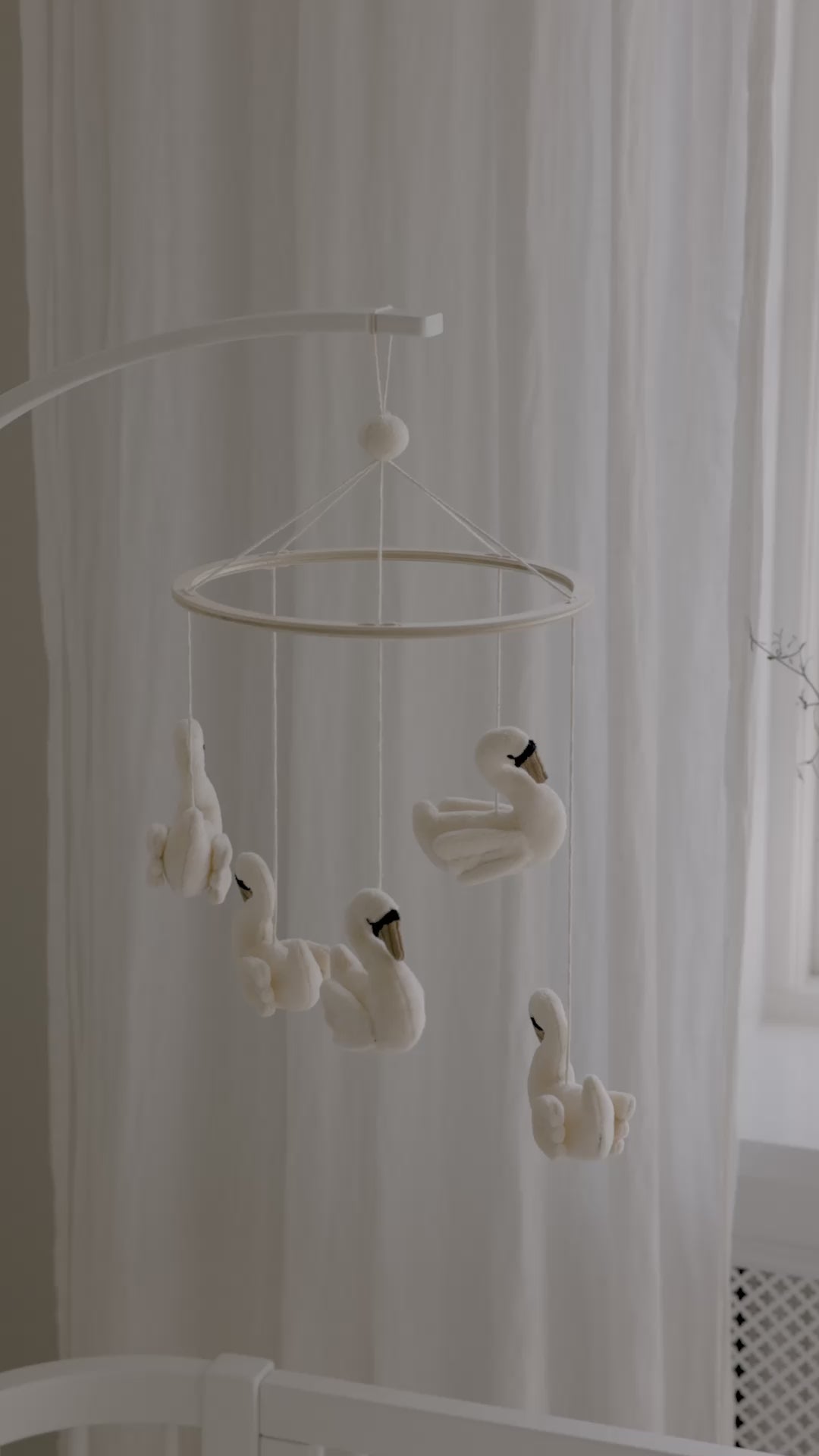 Órógv, Swans