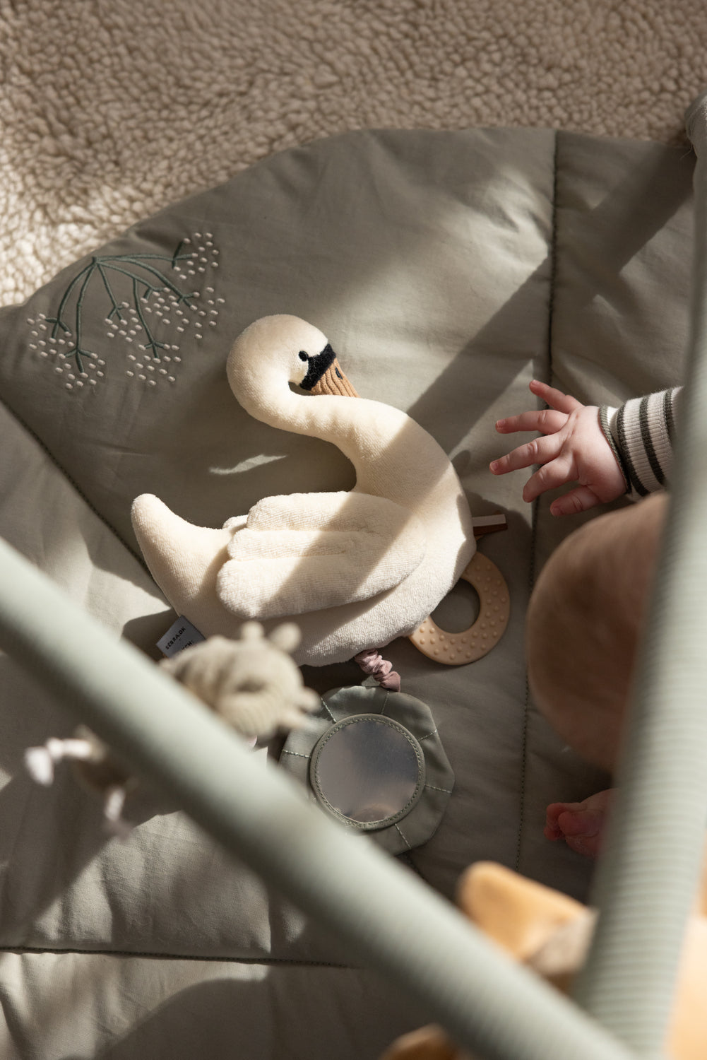 Leika, Swan