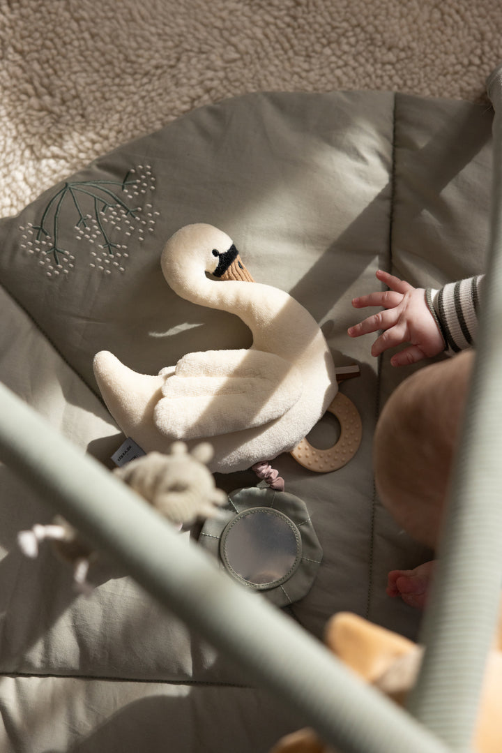 Leika, Swan