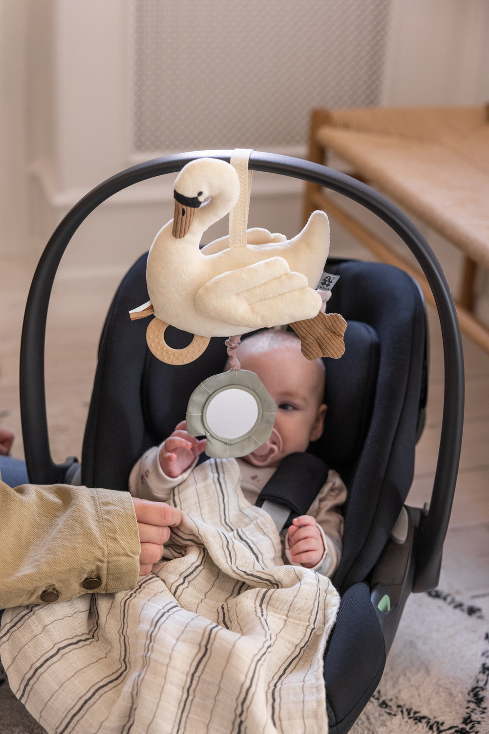 Leika, Swan